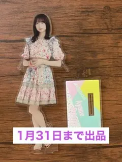 乃木坂46 鈴木絢音 BIGアクリルスタンド
