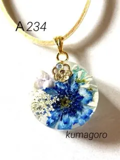 Item thumbnail for item e3bdddc0-d835-426c-a7c7-0164f56955cb