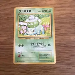 フシギダネ ポケモンカードゲーム LV.13 HP40