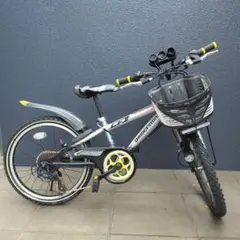 ブリジストン子供用自転車20インチのサムネイル