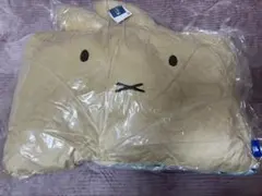 Item thumbnail for item 3ec1a0f0-a404-49d8-815b-6b0c4350e944