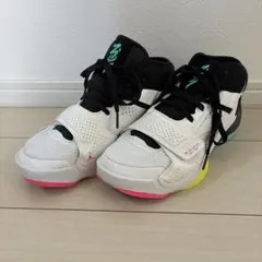 【美品】NIKE JORDAN ZION 2 PF DM0858のサムネイル