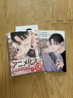 パーフェクトアディクション4 アニメイトセット限定小冊子付き