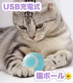 Item thumbnail for item 72307f60-22ea-44f2-9464-5fadec45d9be