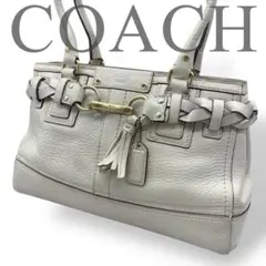 COACH コーチ ハンプトンズ キャリーオール トートバッグ 肩掛け シボ革