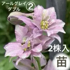 Yumi様 リクエスト 3点 まとめ商品