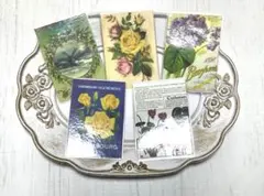 Item thumbnail for item 1268ceeb-0b7c-47da-b49b-5fd665c5e963