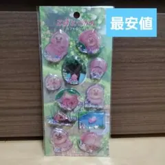 最安値 こびとづかん カプセルシール シャカシャカ キラキラ カクレモモジリ