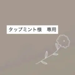 タップミント様　専用