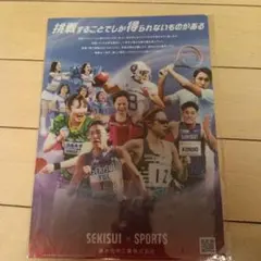 東レアローズ 下敷き グッズ 新品 - メルカリ