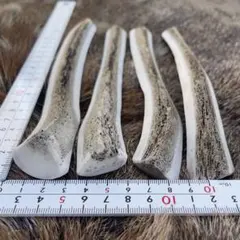 犬二匹様 リクエスト 2点 まとめ商品