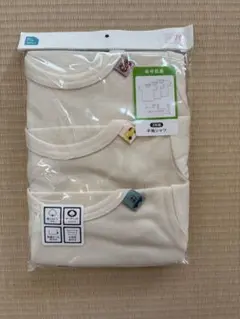 Item thumbnail for item c69182e9-b503-4dfc-9c73-66e88862725a