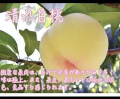 【数量限定】自然栽培・無農薬 若桃「月あかり」5kg 加工用 希少品 数量限定】自然栽培・無農薬 若桃「月あかり」5kg 加工用 希少品