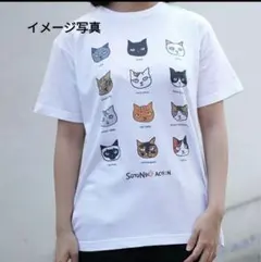 Item thumbnail for item 4de23636-28ef-4db4-80f8-8cd72e90c742