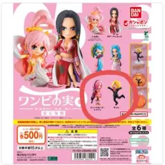 ワンピース　ワンピの実　第五海戦　レイジュ　サンジ　セット