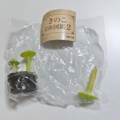 きのこ立体図鑑２　ワカクサタケのサムネイル