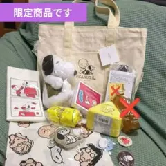 ピーナッツカフェ　プレミアム版　福袋　2025　スヌーピーミュージアム