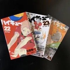 ハイキュー!! 22 23 24巻 セット