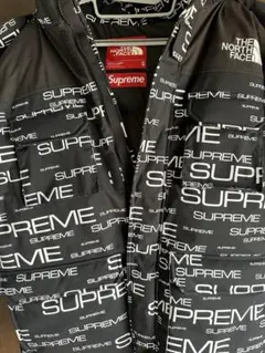 Supreme The North Face 700-Fill Parka Mのサムネイル