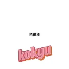 暁緒様 リクエスト 3点 まとめ商品