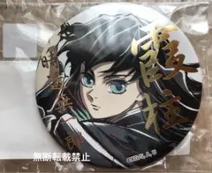 鬼滅の刃幕間画集WEBSHOPくじ霞柱時透無一郎 E賞箔押し57mm缶バッジA