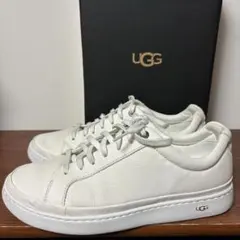 大人気完売 超貴重UGG M CALI SNEAKER LOWカリスニーカーロー