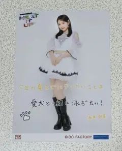 谷本安美 コレ写12 HEAT IT UP 2026春のサムネイル