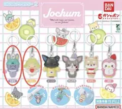 JOCHUM めじるしアクセサリー2 もこ　ちまた