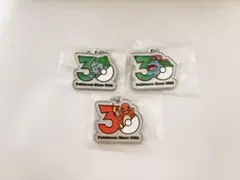 ポケモン 30周年記念チャーム メタルチャームマスコット ガチャ