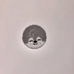 Stray Kids SKZOO ペンミ 缶バッジ バンチャン ウルフチャン