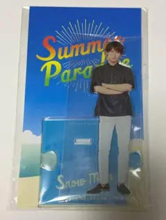 2026年最新】渡辺翔太 アクスタ サマパラの人気アイテム - メルカリ