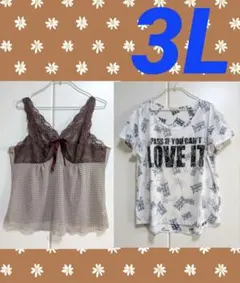 M*Y様 ブラウン系ドット柄レースキャミソールと裏プリントTシャツ　3L　2点まのサムネイル