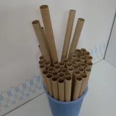 Item thumbnail for item f6db1e4a-e102-439d-afd2-7c9d9ee7e590