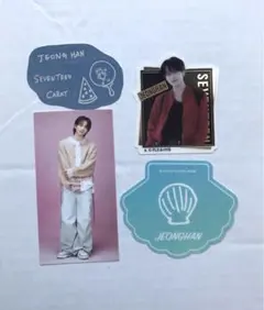 SEVENTEEN セブチ JEONGHAN ジョンハン ステッカー　4点セット