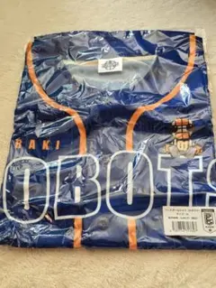 Item thumbnail for item 6d31f9c3-a963-4c2f-9587-2917daab4185