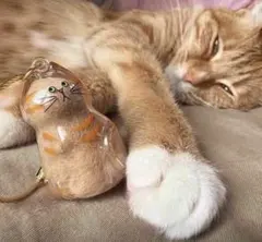 【【 新品未使用 月末セール 】】猫の毛入れキーホルダー　6種類セット　傷あり