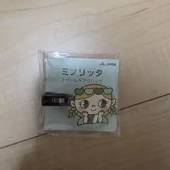 JA共済 ミノリッタ アクリルヘアクリップ