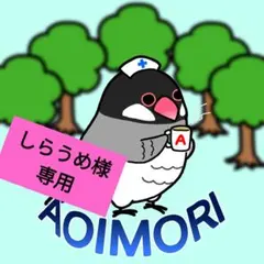 しらうめ様 リクエスト 4点 まとめ商品