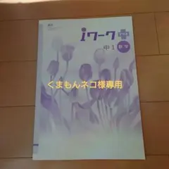くまもんネコ様 リクエスト 2点 まとめ商品