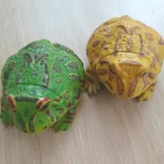 海洋堂 チョコエッグ ペット動物 第２弾 ベルツノガエル ２種セット