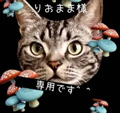 りおまま様 リクエスト 3点 まとめ商品