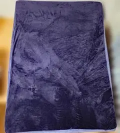 Item thumbnail for item 4b9a3285-c79c-4624-a30a-b0a5b1fb5a5c