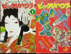 2026年最新】ビックリハウス 雑誌の人気アイテム - メルカリ