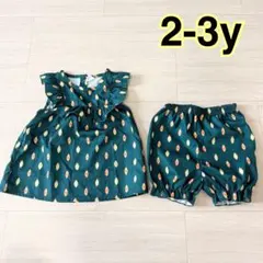 キッズ セットアップ 2-3yのサムネイル