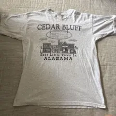 CEDAR BLUFF Tシャツ Lサイズ グレー　フルーツオブザルーム
