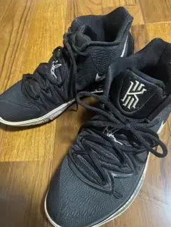 Item thumbnail for item a7f40f36-354c-4111-9852-8b915f2e3be9