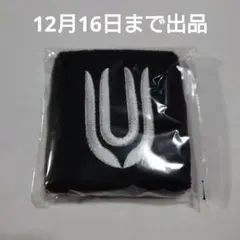 2025年最新】UNiSON square garden リストバンドの人気アイテム - メルカリ