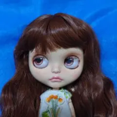 2025年最新】ブライス デインティビスケットの人気アイテム - メルカリ