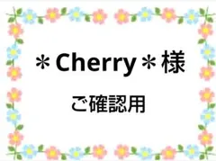 ご確認用　＊Cherry＊様専用　ハンカチ　ねこちゃん柄　ハンドメイド3/9
