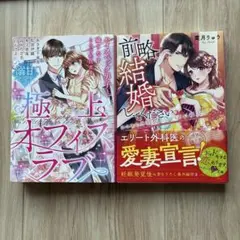 ベリーズ文庫